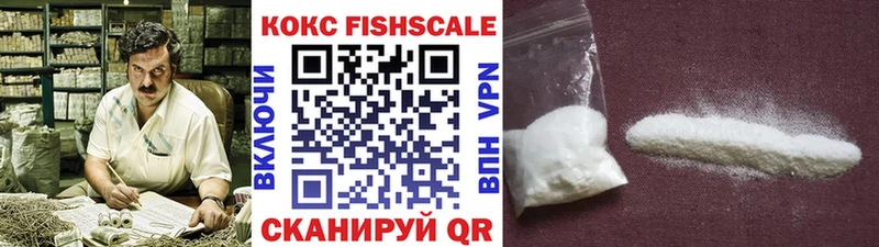 где купить   Заволжск  COCAIN FishScale 