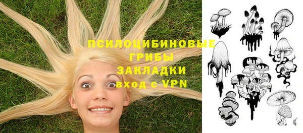 бутират Алзамай
