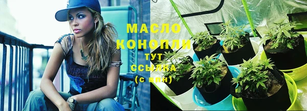 прущие грибы Алексеевка