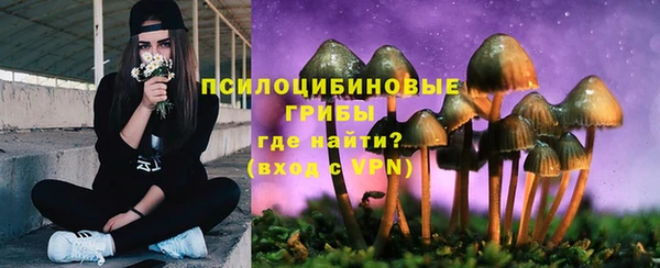 прущие грибы Алексеевка