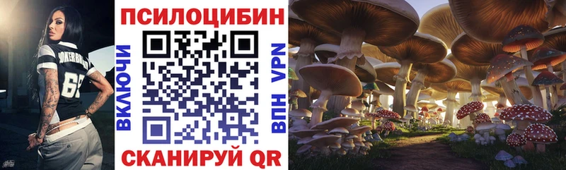 купить наркотики цена  Заволжск  Псилоцибиновые грибы ЛСД 